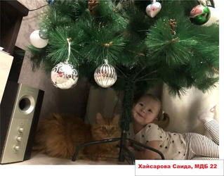 ����� ������������ ��� ��������� ����� ���: ����, ����, � � ���