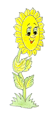 podsol